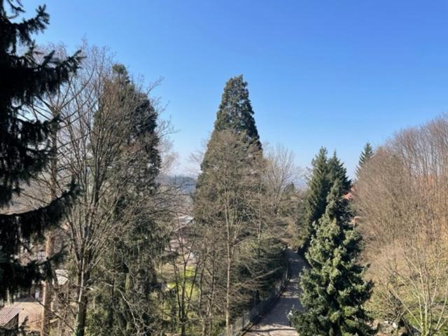 Апартаменты Urlaub Im Schwarzwald! Ghp440 Засбахвальден Экстерьер фото